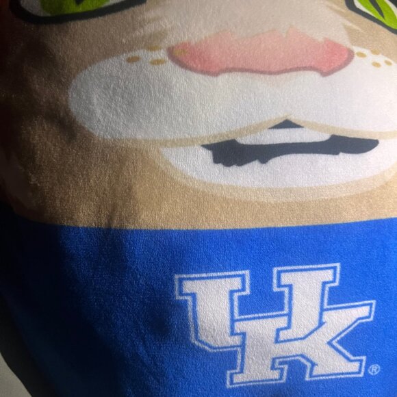 NCAA University of Kentucky Wildcats Mascot Pillow - Picture 3 of 4